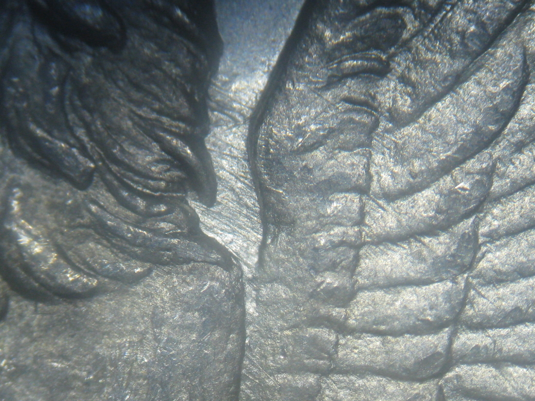 Image 15
