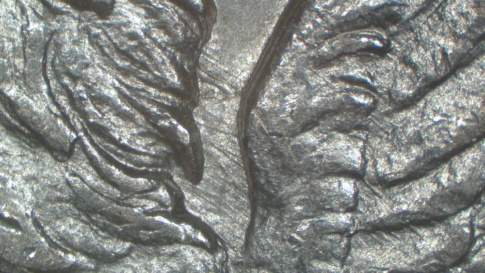 Image 13