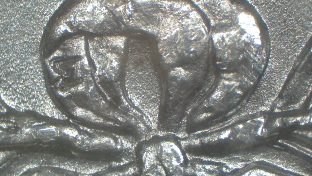 Image 15