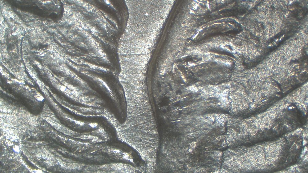 Image 13