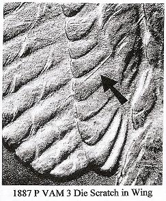Image 25