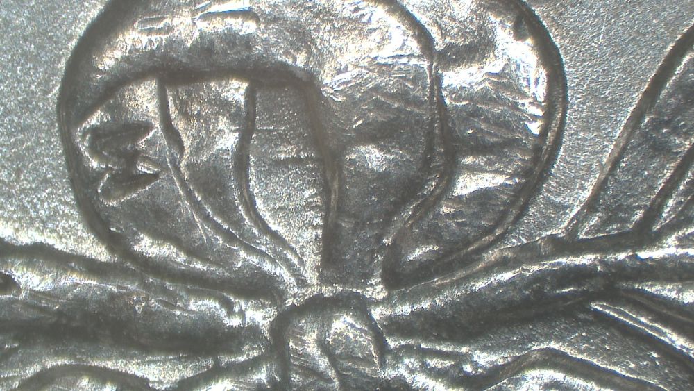 Image 24