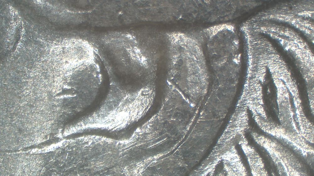 Image 14