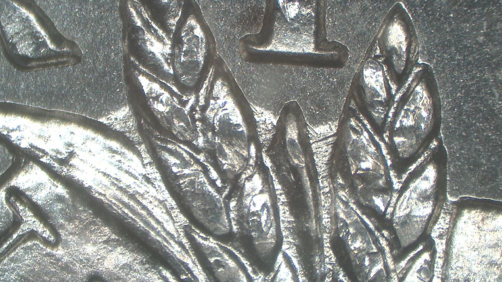 Image 17