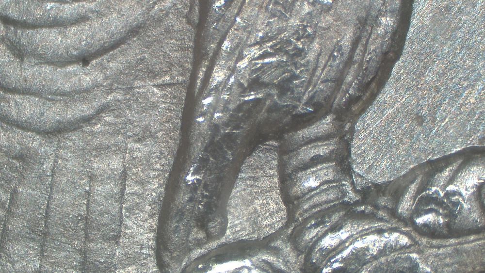 Image 20