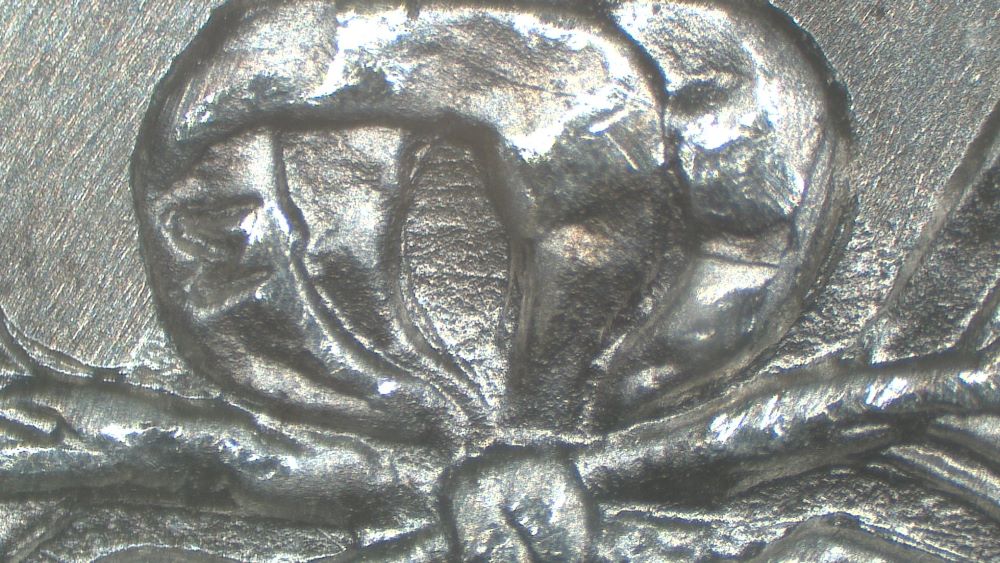 Image 15