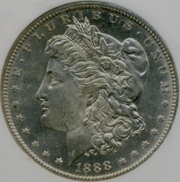 Image 20