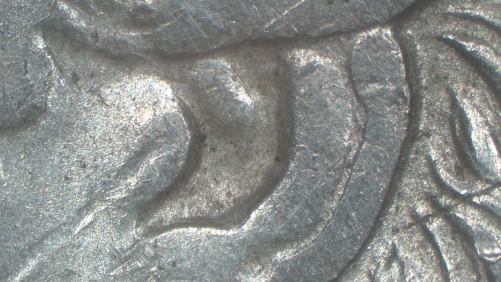 Image 21