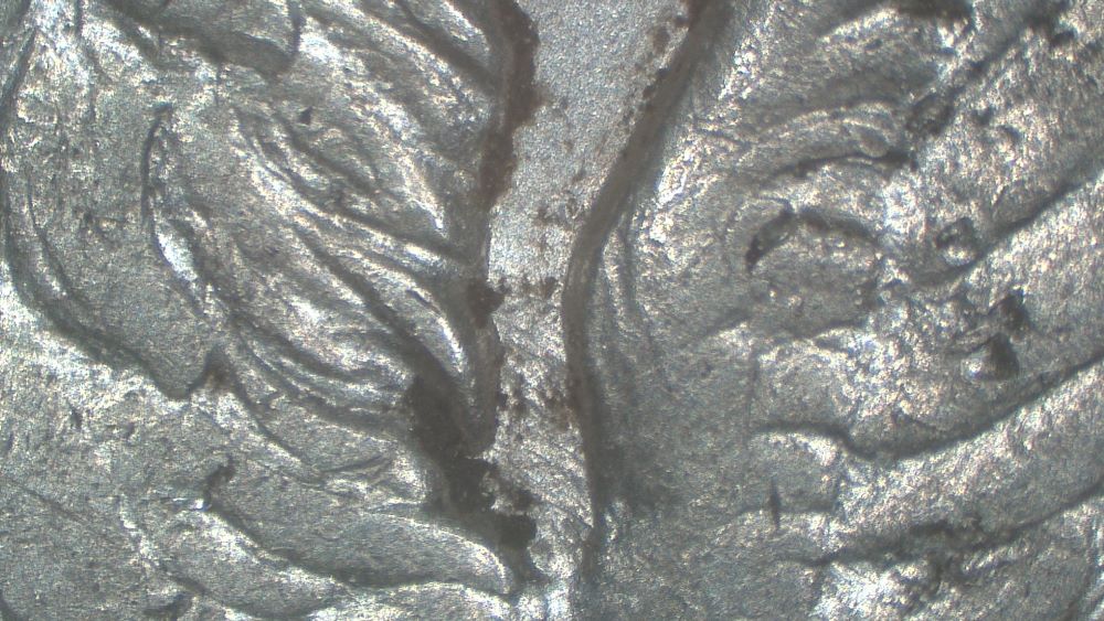 Image 13
