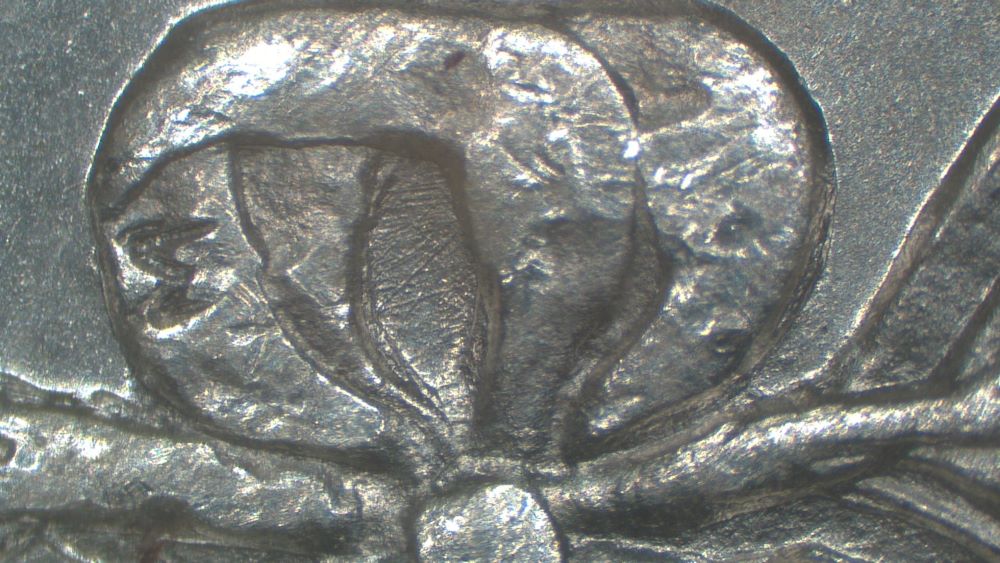 Image 17