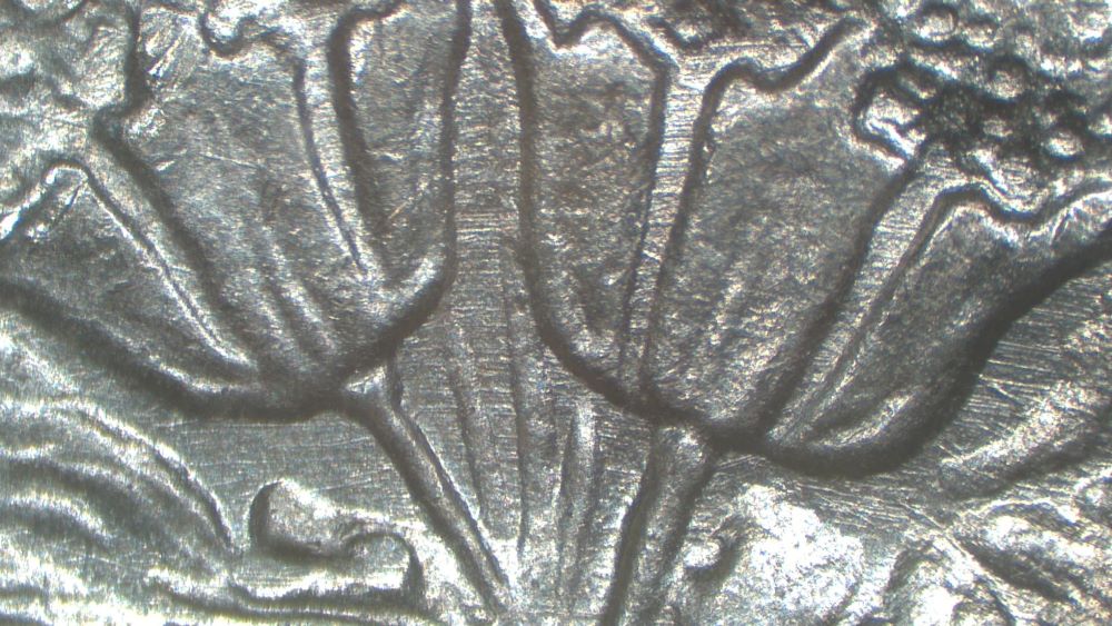 Image 16