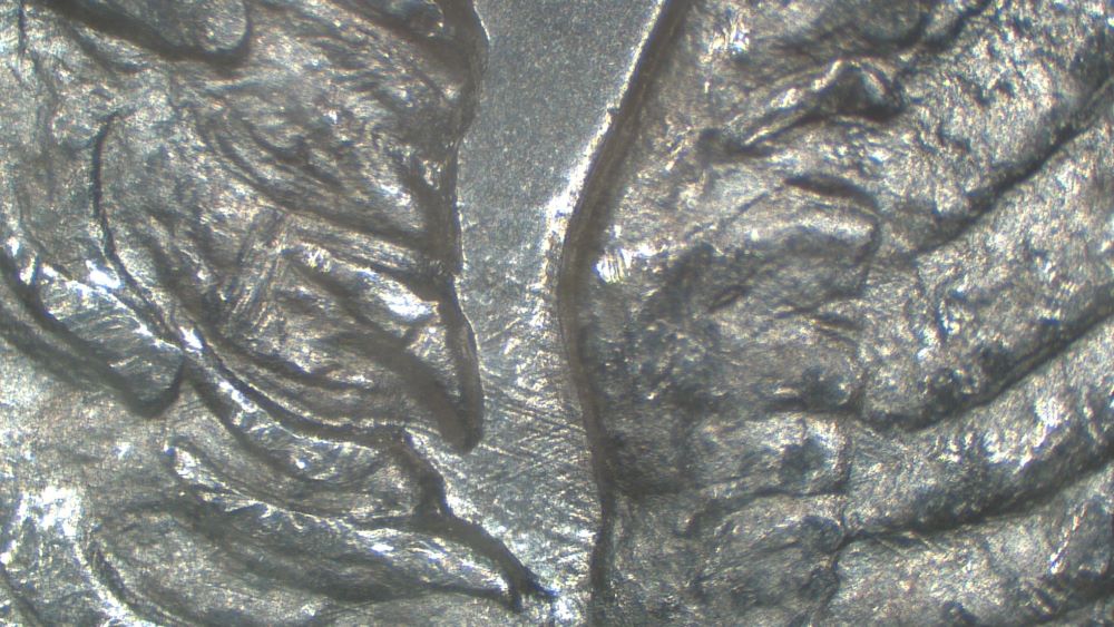 Image 15