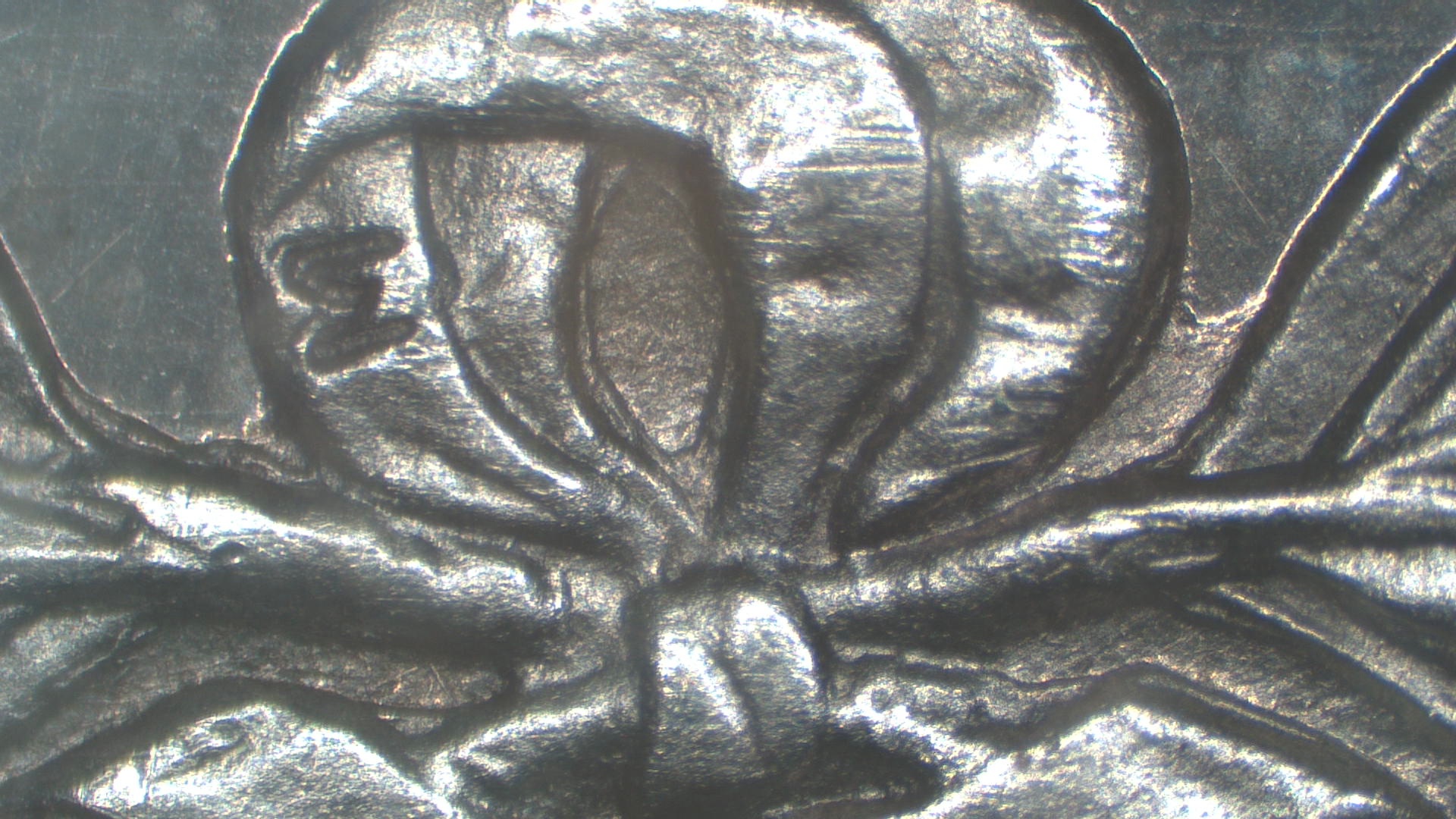 Image 17