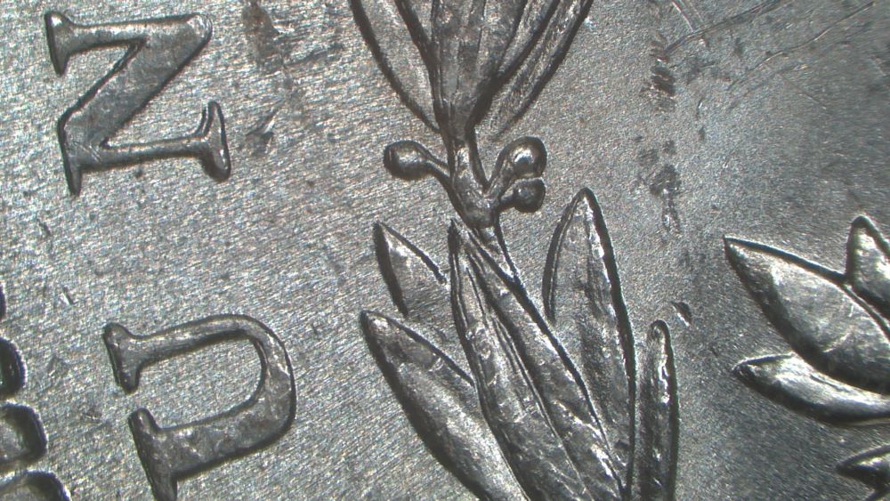 Image 17