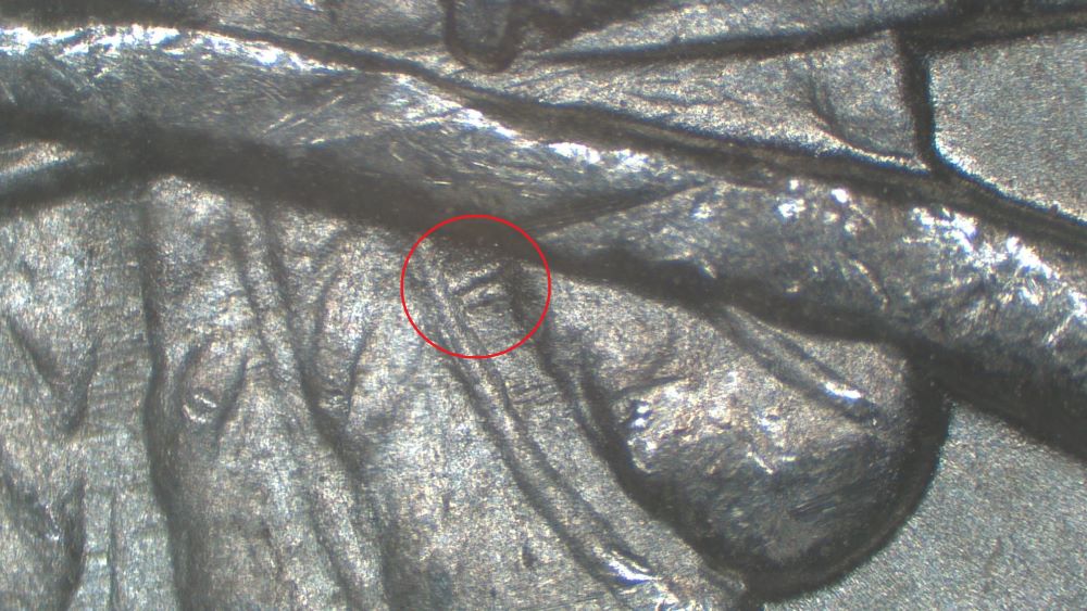 Image 17
