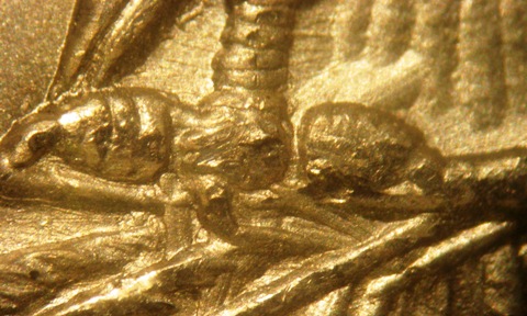Image 14