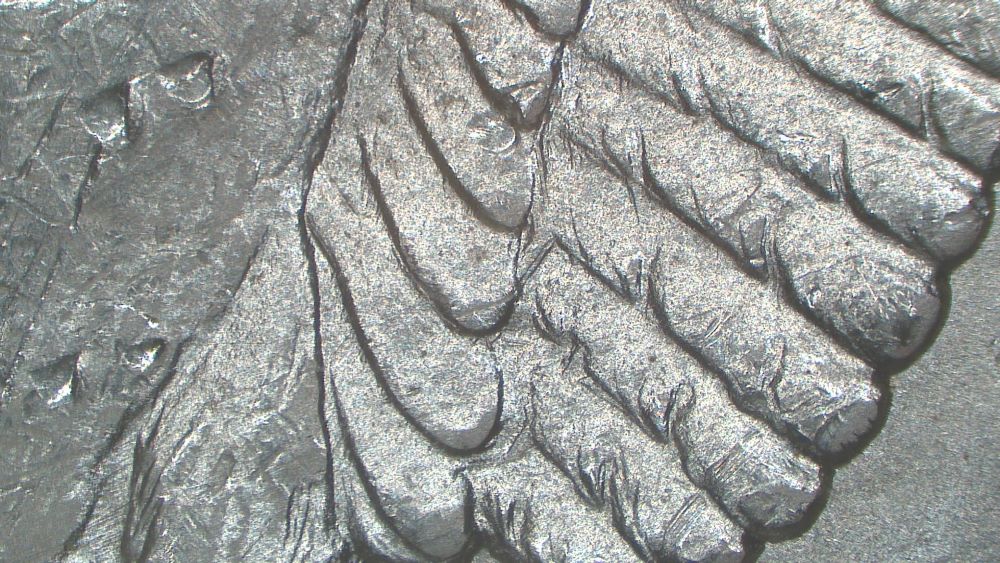 Image 25
