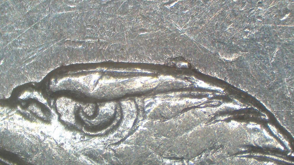 Image 13