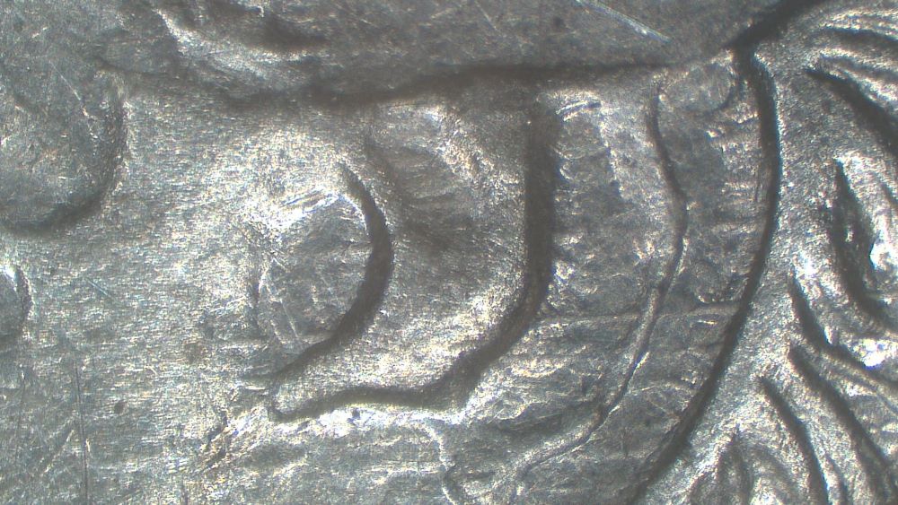 Image 15