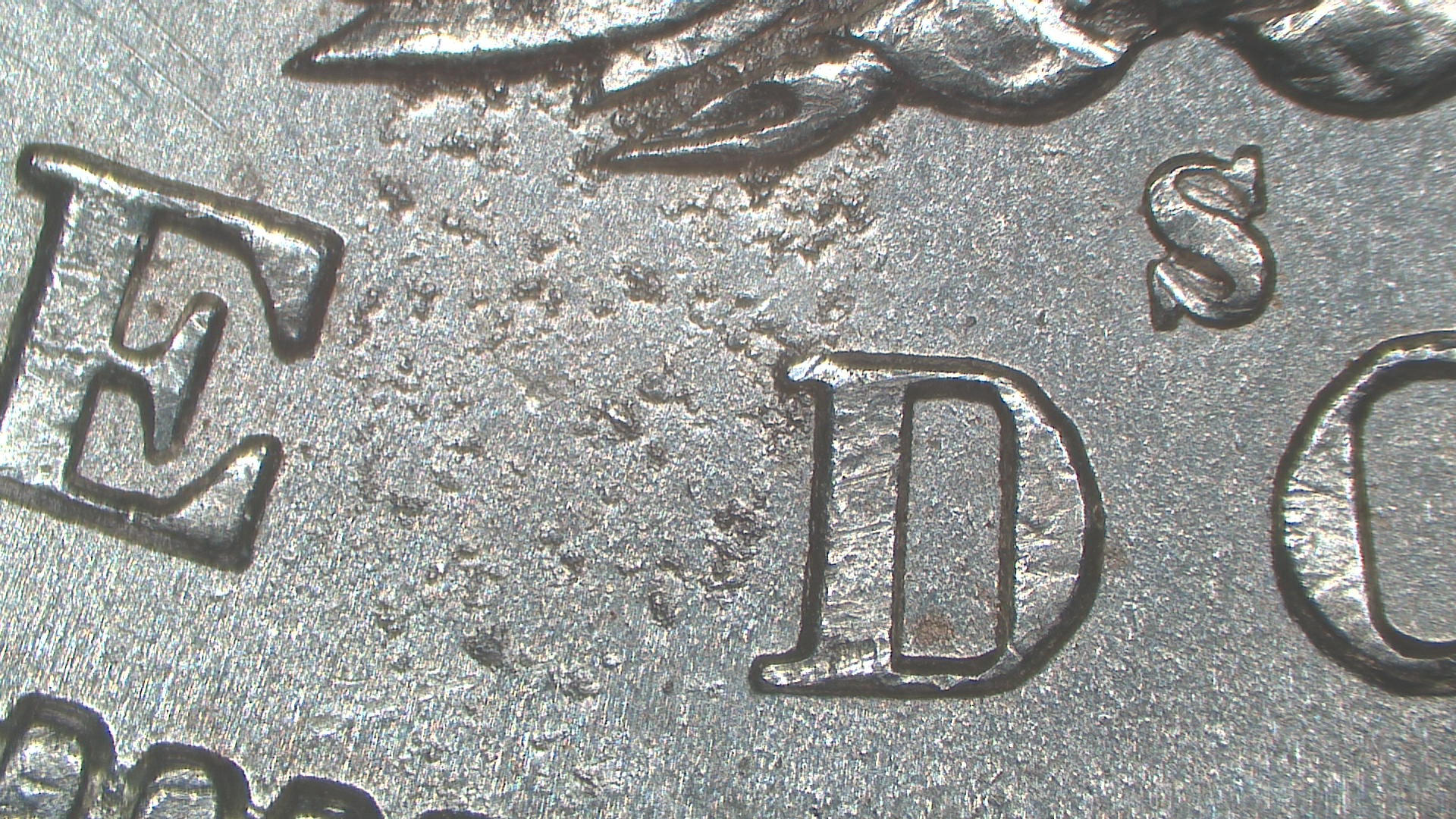 Image 15