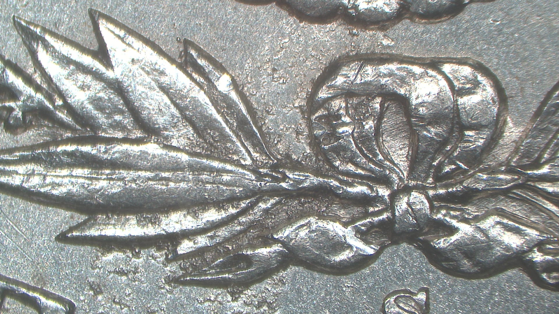 Image 20