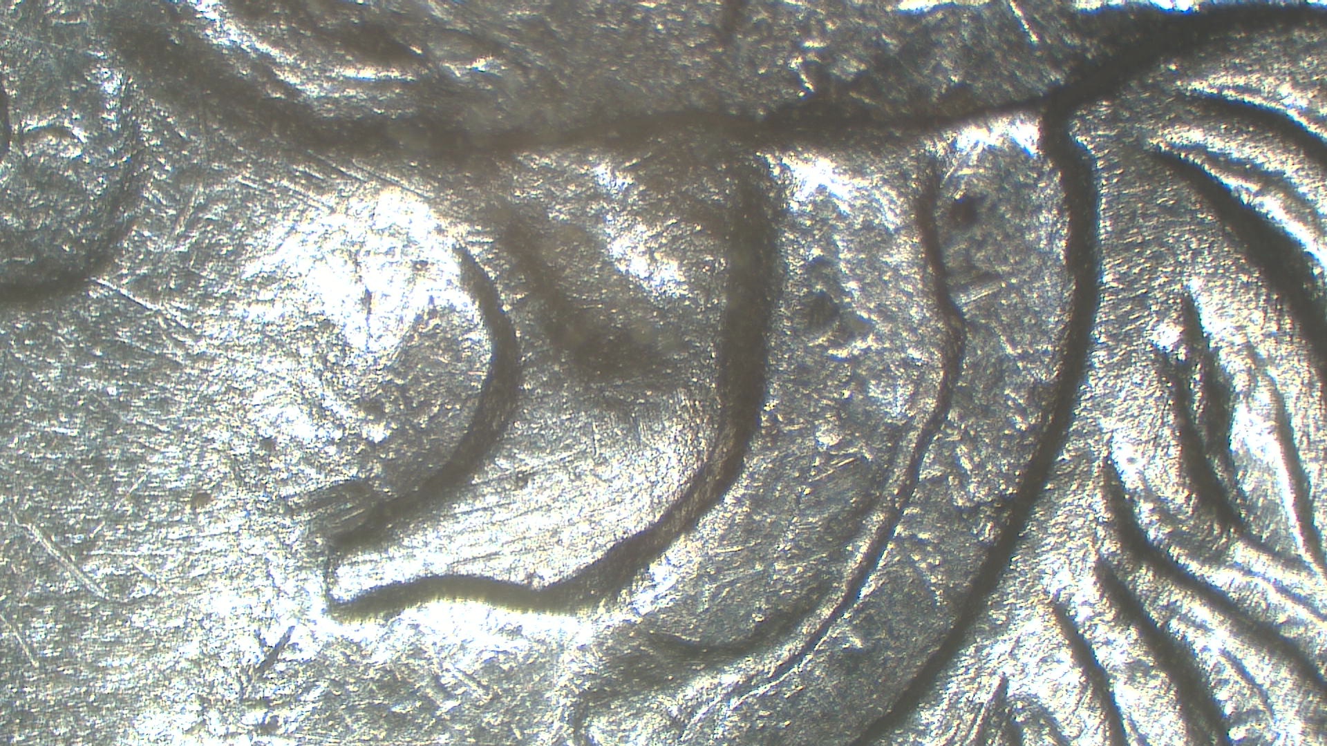 Image 23