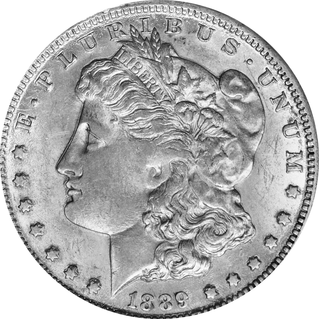 Image 13