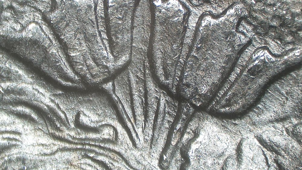 Image 15