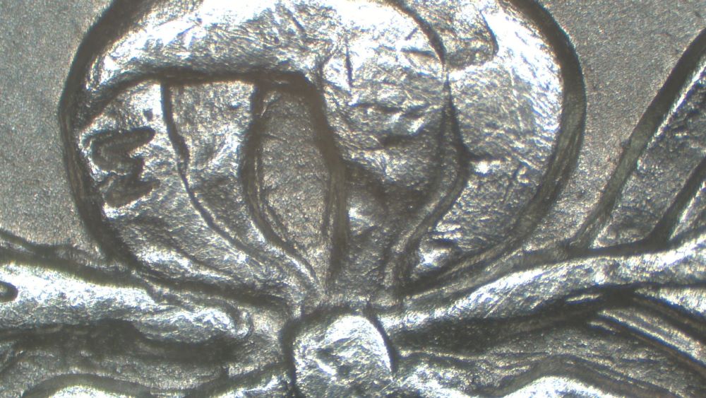 Image 13