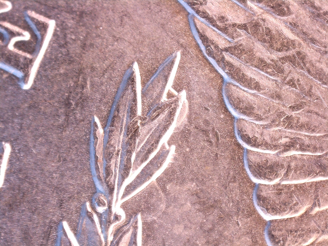 Image 16