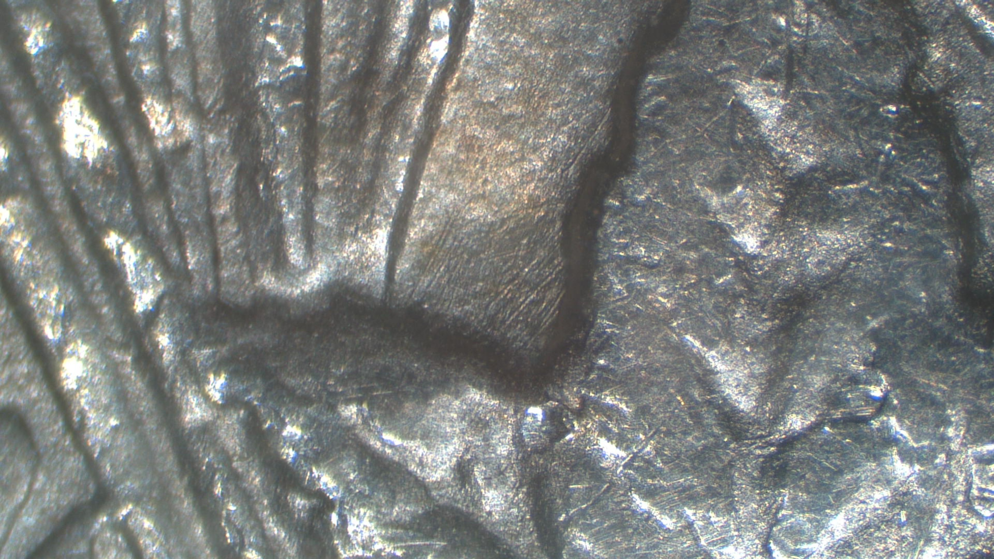 Image 13