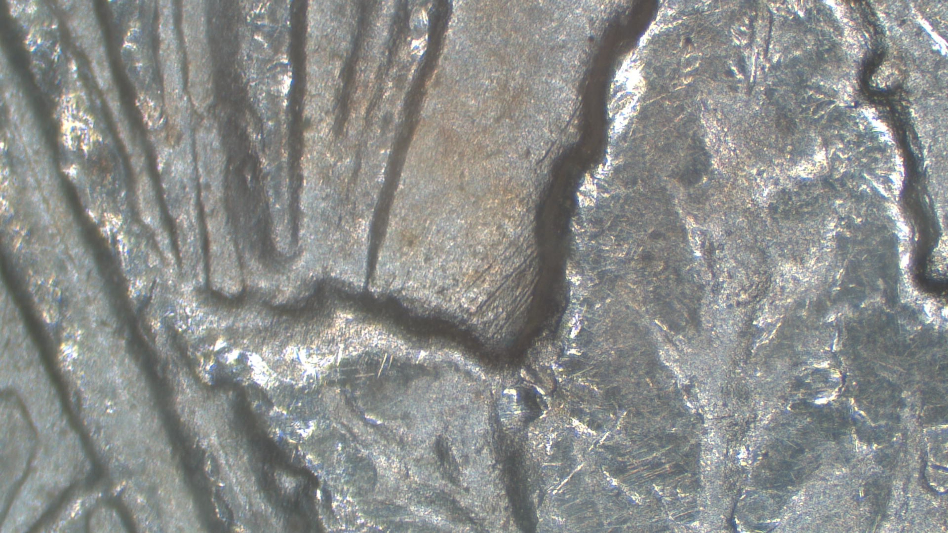 Image 16