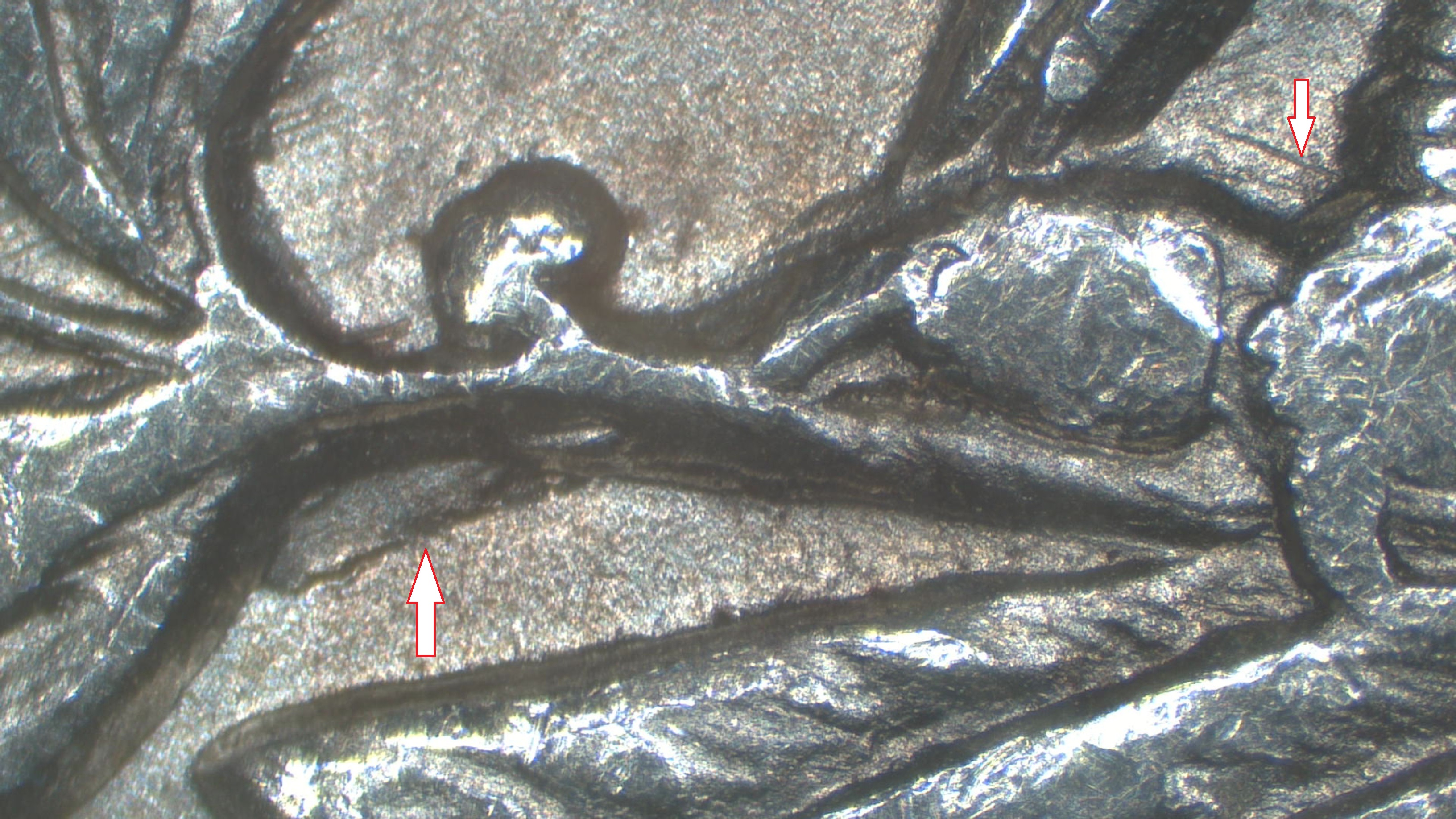 Image 15