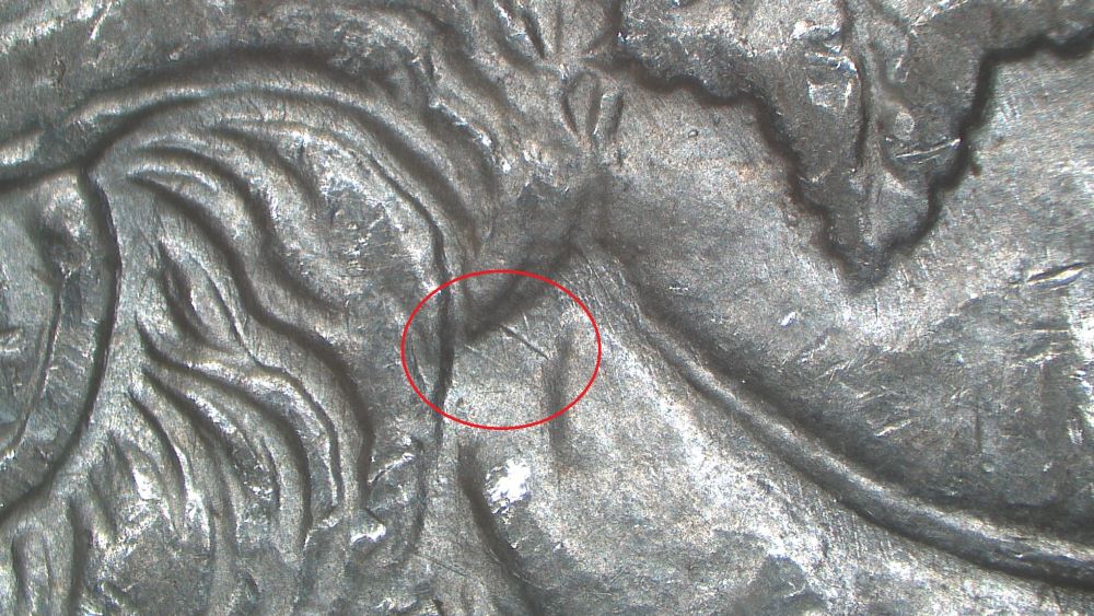 Image 16