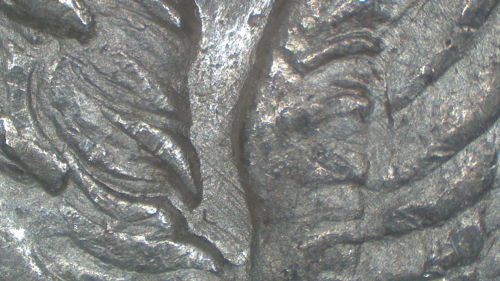 Image 13