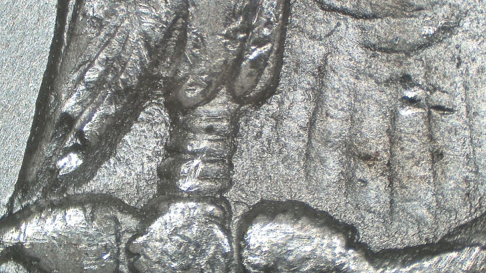 Image 16