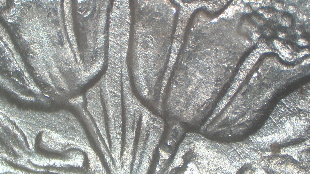 Image 17