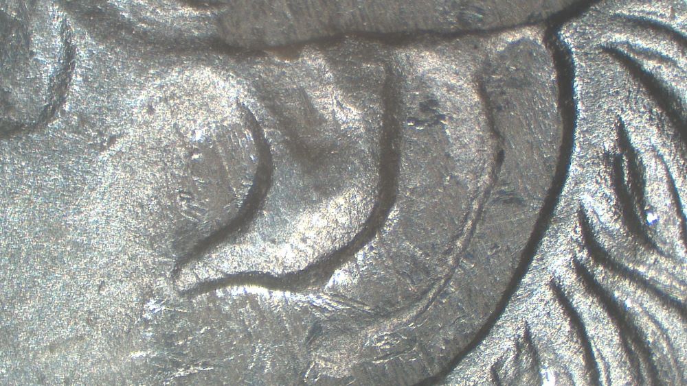 Image 15