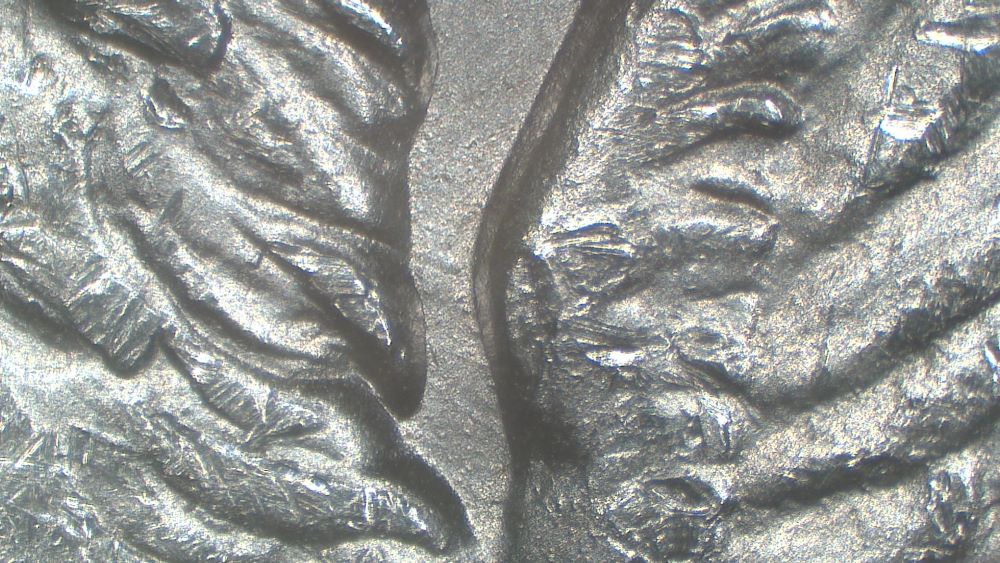 Image 14