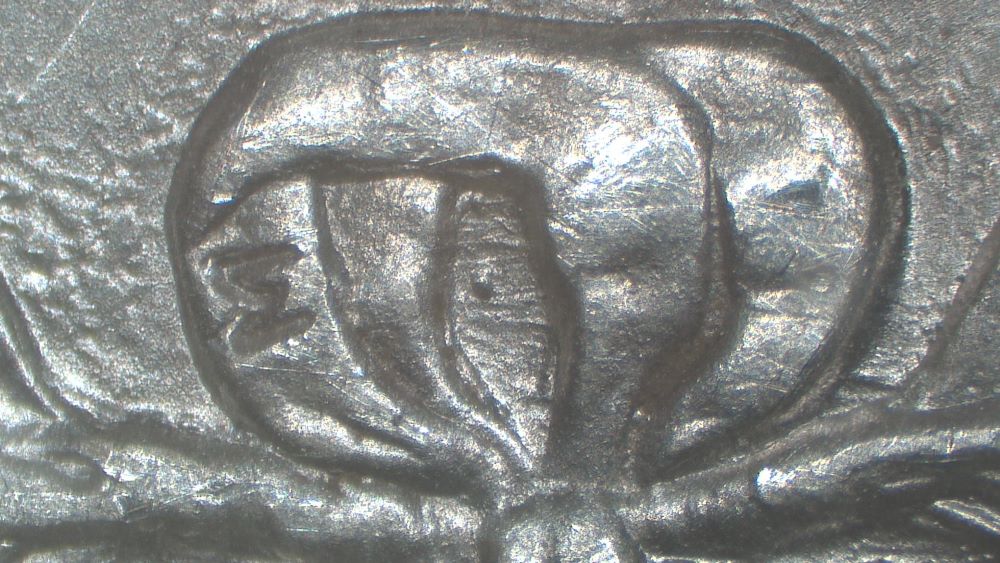 Image 24