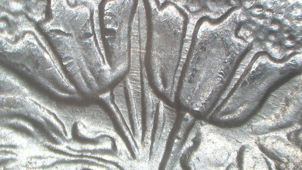 Image 26