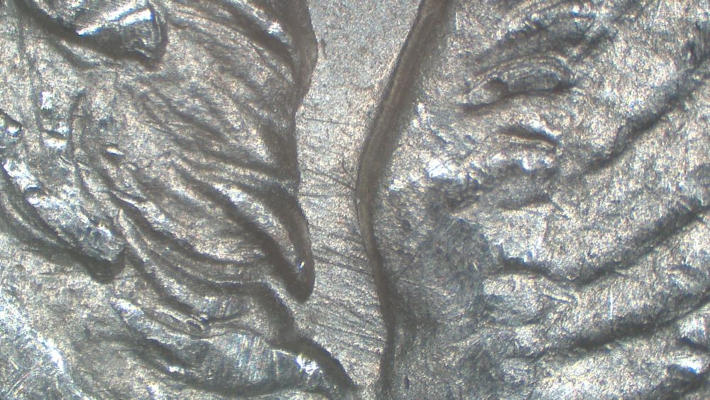 Image 35