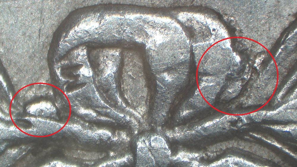 Image 13