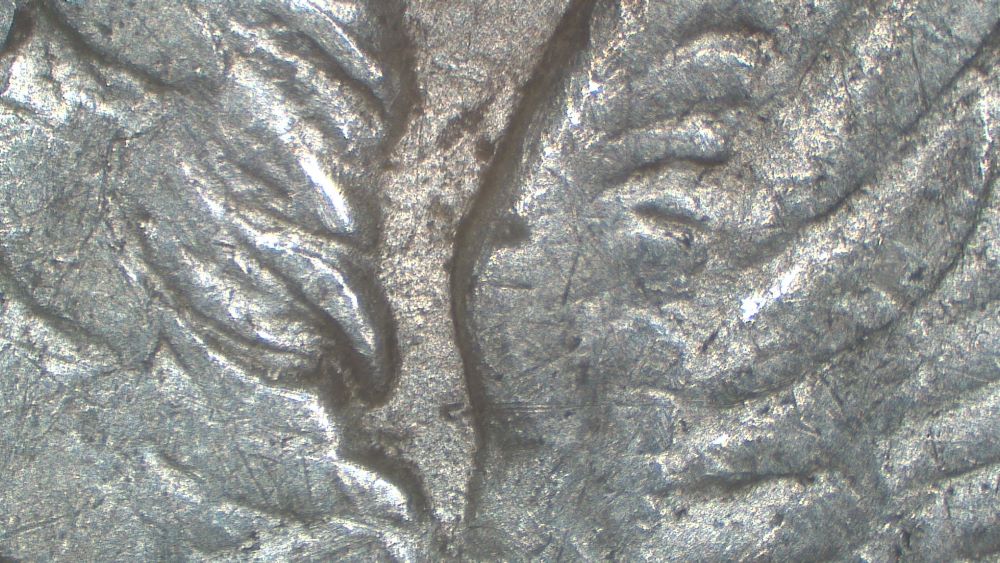 Image 20