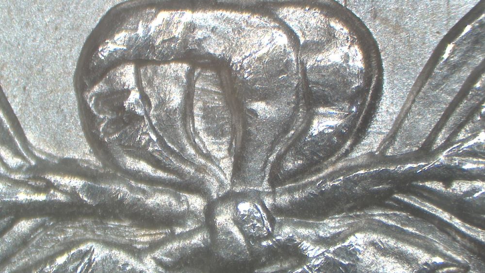 Image 15