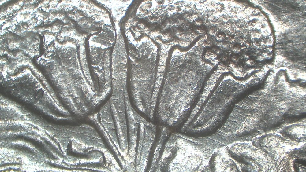 Image 14