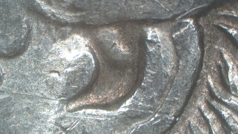 Image 14