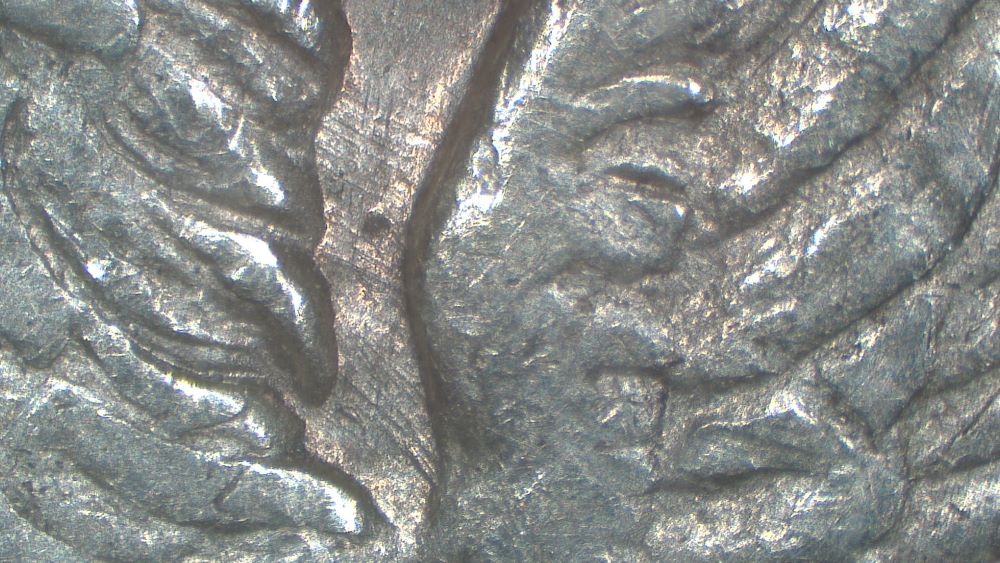 Image 15