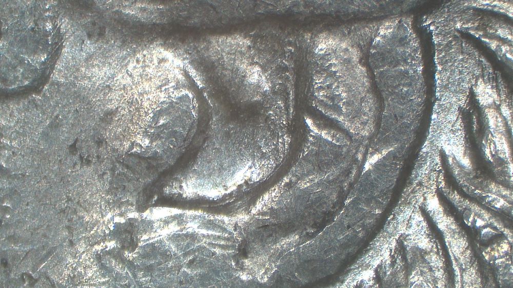 Image 13