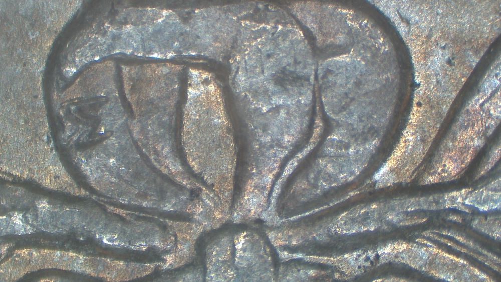 Image 9